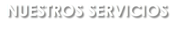 NUESTROS SERVICIOS